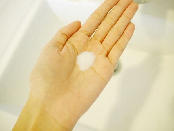 P1000242.JPG P1000242.JPG