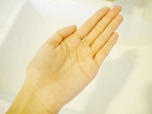 P1000245.JPG P1000245.JPG